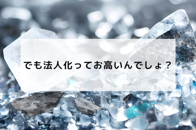 でも法人化ってお高いんでしょ？